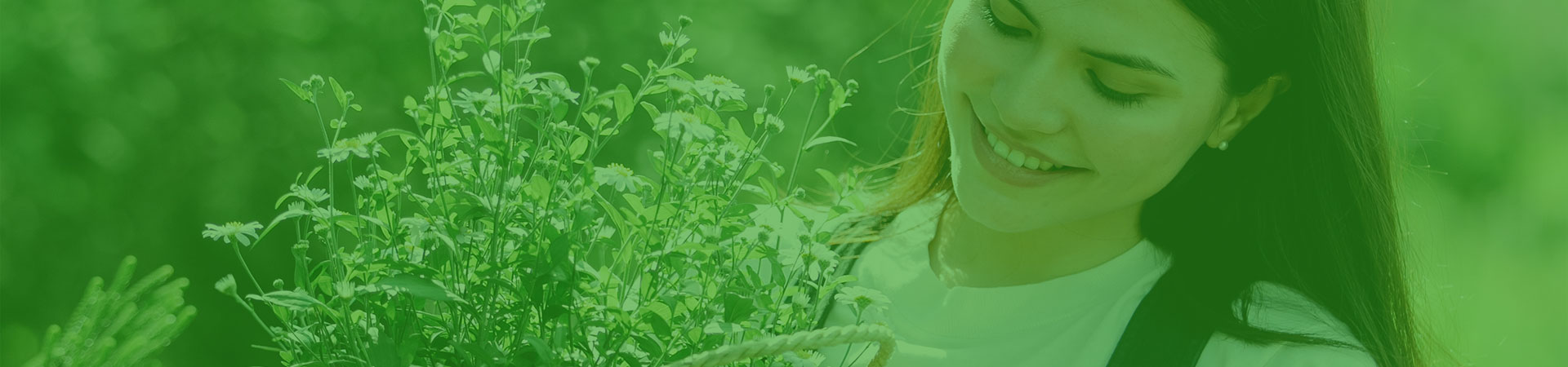 Pomal Beka Mandiri - Contact