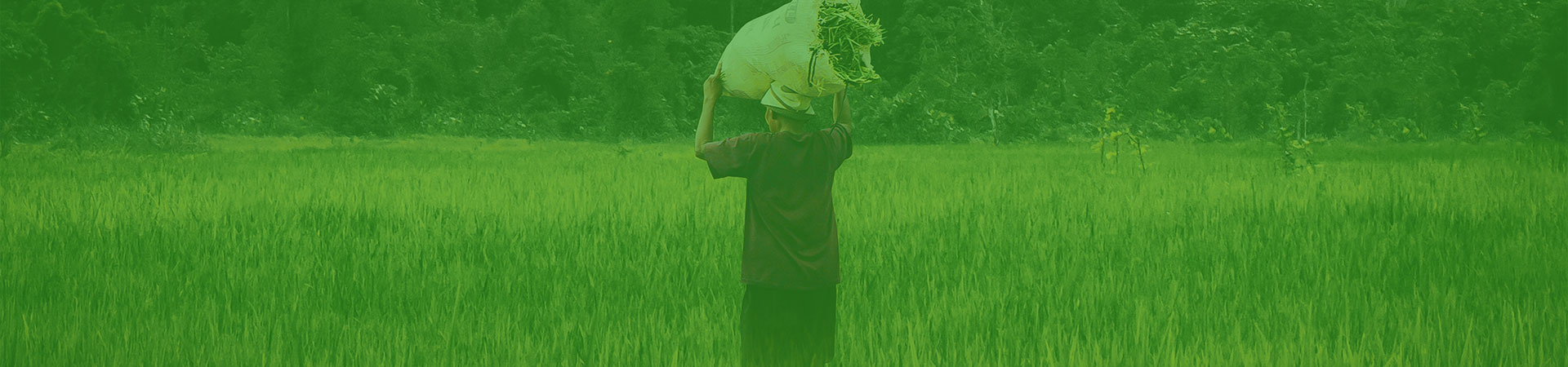 Pomal Beka Mandiri - FAQ