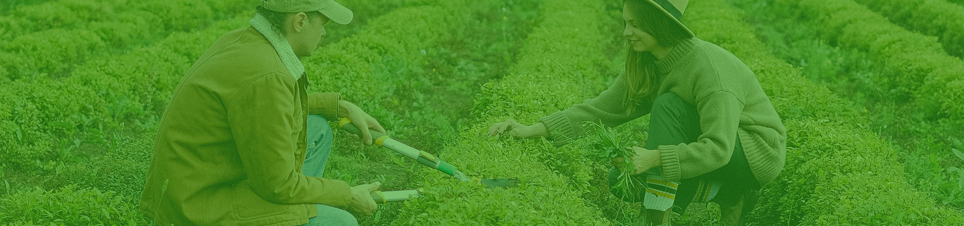 Pomal Beka Mandiri - Service